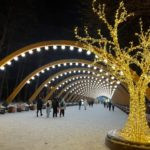 Парк Сокольники фото зимой