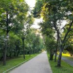 Парк Сокольники фото