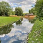 Парк Коломенское фото