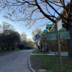 Парк Коломенское фото