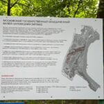 Парк Коломенское фото