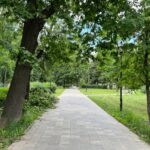 Фото Семеновского парка